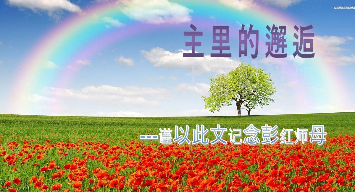 主里的邂逅