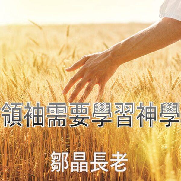 教會領袖需要學習神學嗎?