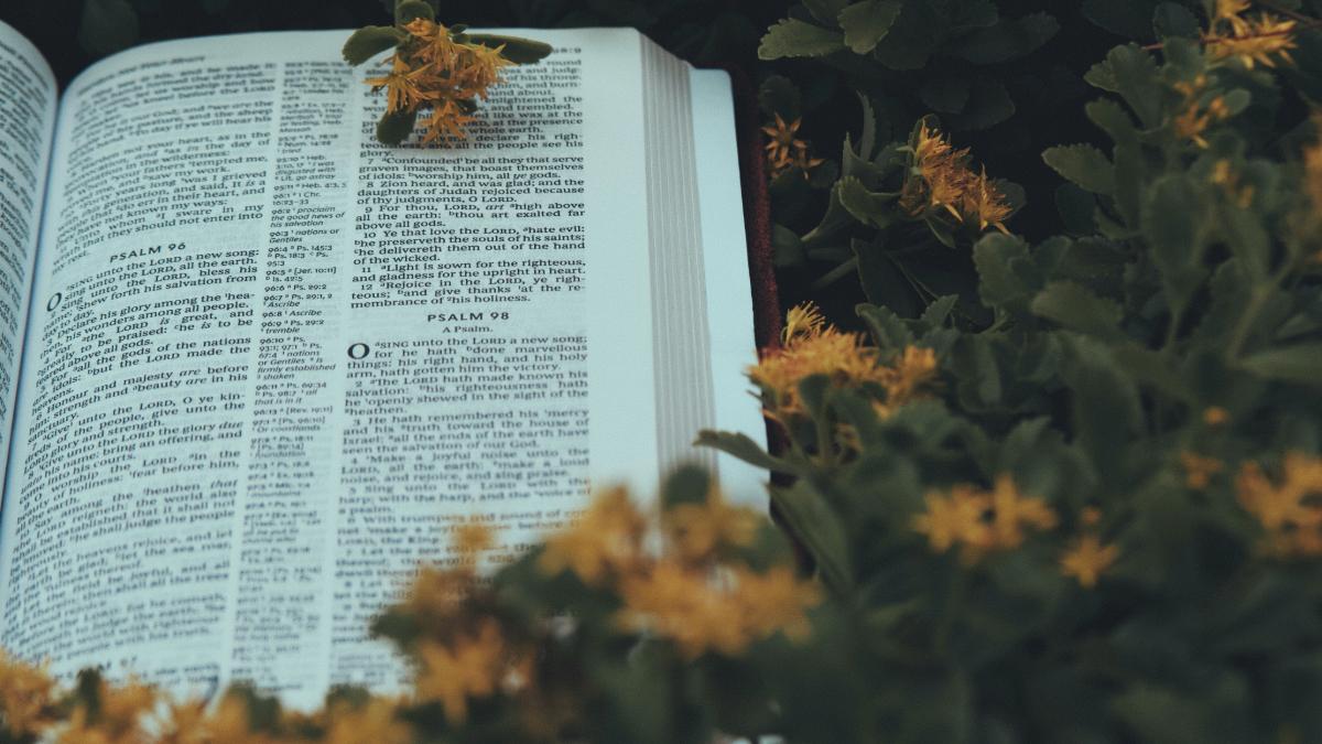 圣经对奉献的教导