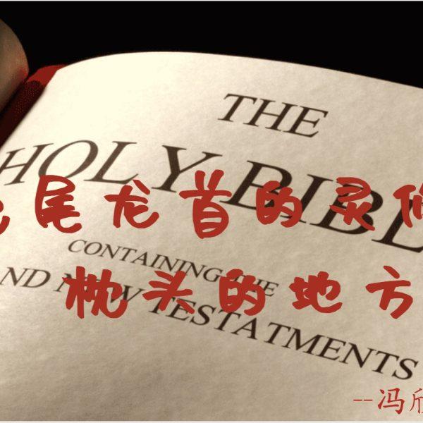 兔尾龙首的灵修:枕头的地方